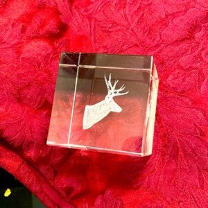 Asfour crystal cube deer